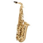 Selmer AS600 Alto Saxophone