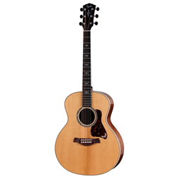 Taylor Gold Label 814e